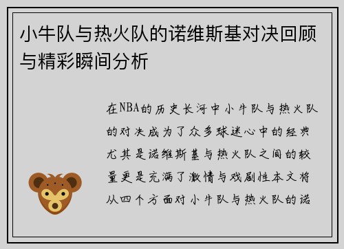 小牛队与热火队的诺维斯基对决回顾与精彩瞬间分析